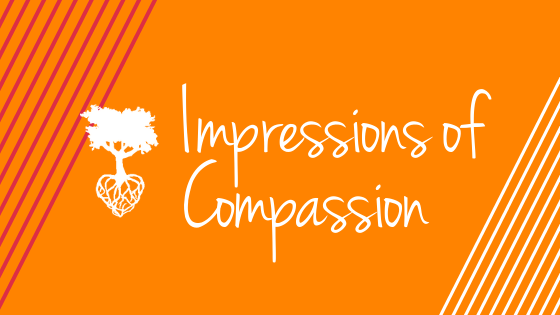 Impressions of compassion