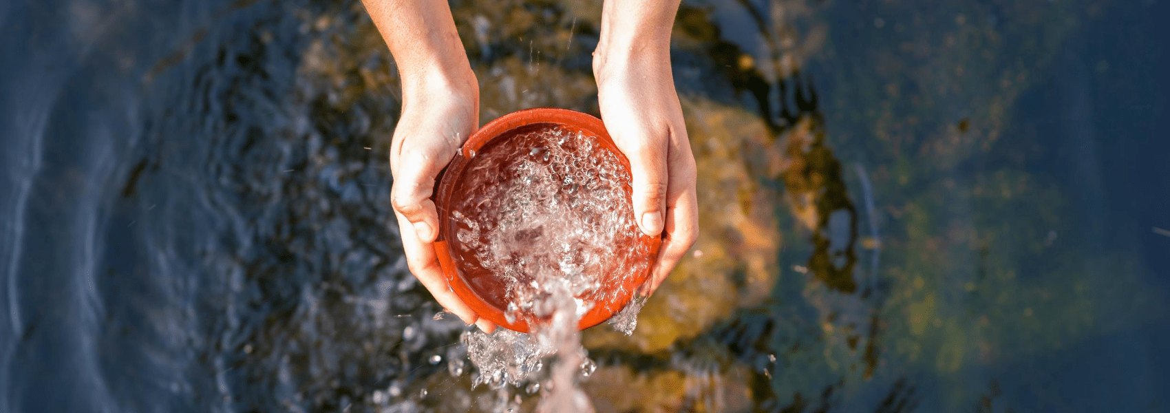 What Does Water Have to Teach Us About Unity In Diversity?